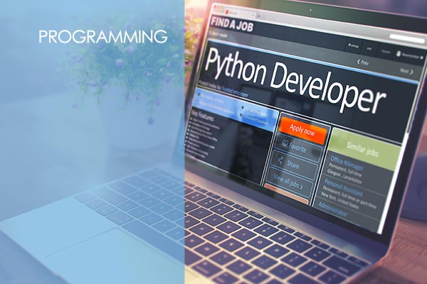 Python Programming Course Python Programming Course