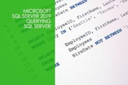Microsoft SQL Server 2019 - Querying SQL Server