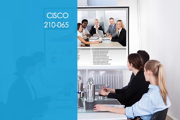 Cisco 210-065 Course
