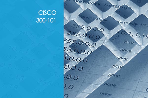 Cisco IP Routing
