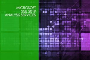 Microsoft SQL Server 2019 Analysis Services (SSAS)