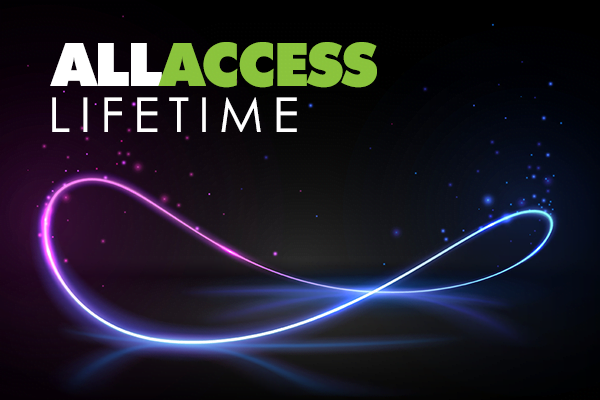 lifetime it training