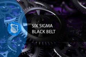 Six Sigma Black Belt