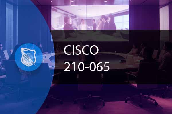 Cisco 210-065