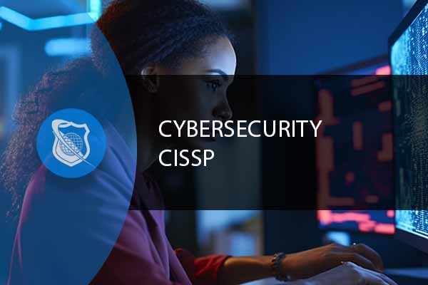 Certified Information Systems Security Professional (CISSP)