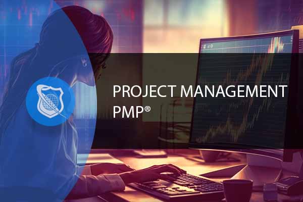 Project Management Professional