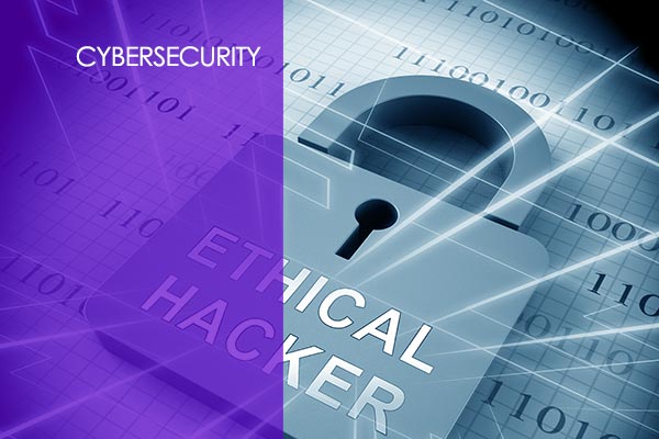 Certified Ethical Hacker V11 Training Course