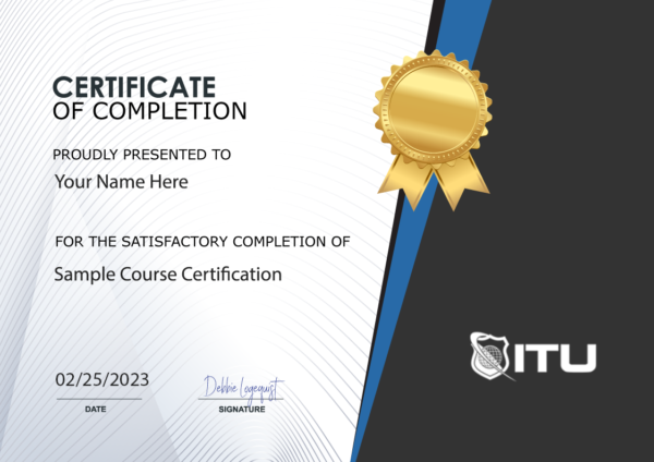 Microsoft SQL Data Analysis Training Series - 3 Courses - ITU Online IT ...