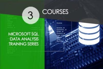 Microsoft SQL 2019 Data Analysis Training Series